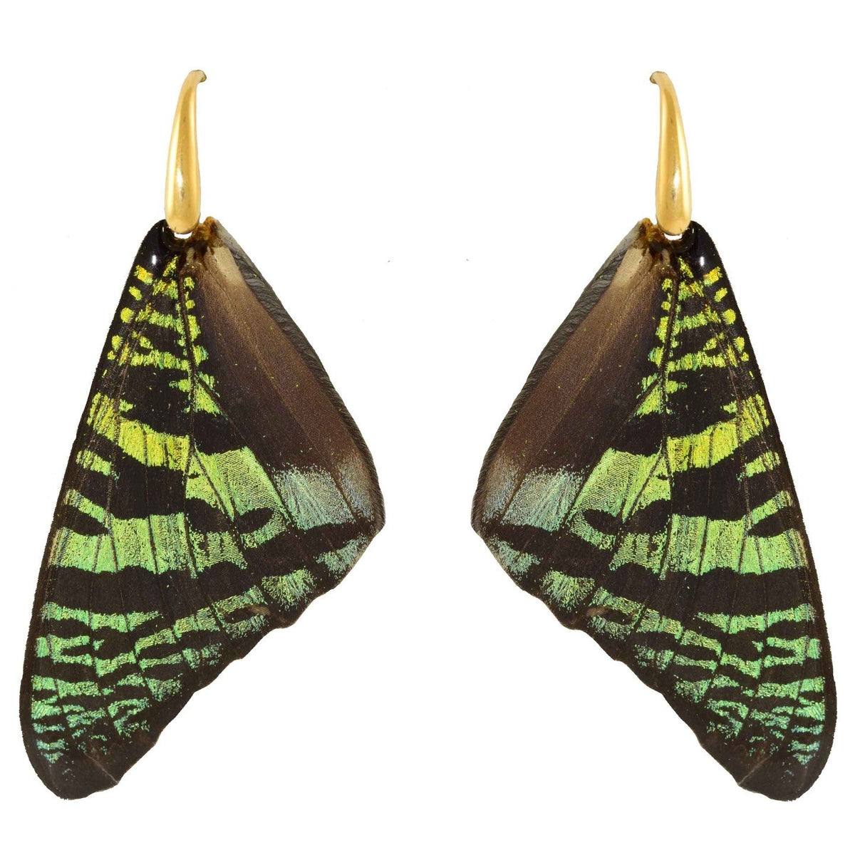 Miccy's | Madame Sunset | Butterfly Earrings